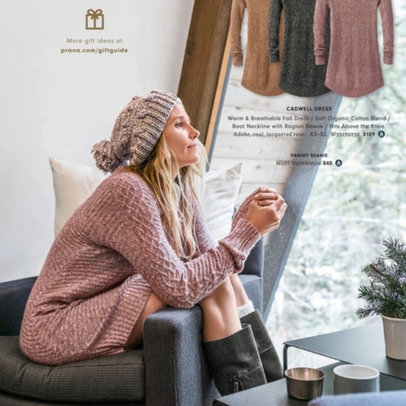 Prana Cadwell Dress - Picture 6 of 9